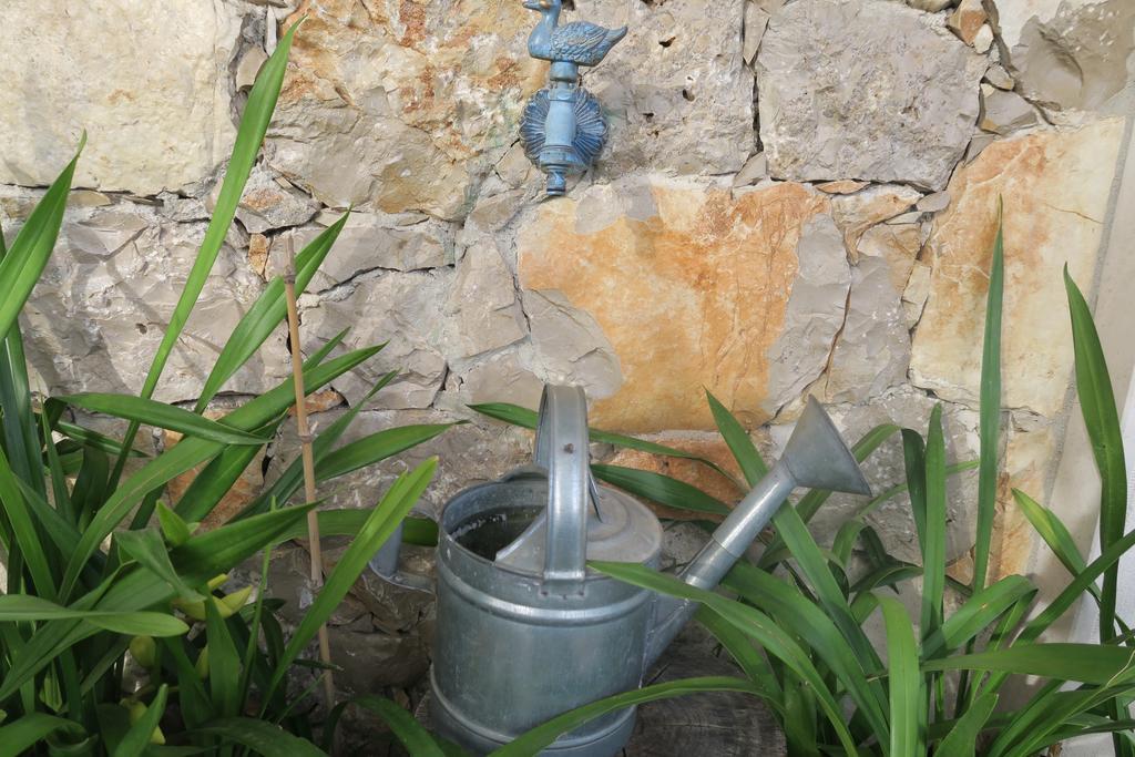 Noz Por Ca... Turismo Em Espaco Rural Alcaria  エクステリア 写真
